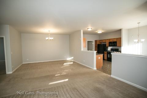 3811 Traditions Dr, Olympia Fields, IL 60461 photo 15