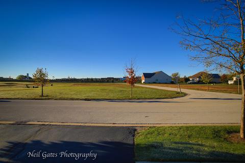 3811 Traditions Dr, Olympia Fields, IL 60461 photo 30