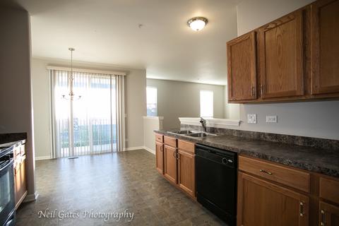 3811 Traditions Dr, Olympia Fields, IL 60461 photo 18
