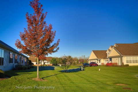 3811 Traditions Dr, Olympia Fields, IL 60461 photo 29