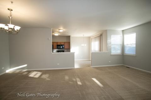 3811 Traditions Dr, Olympia Fields, IL 60461 photo 14