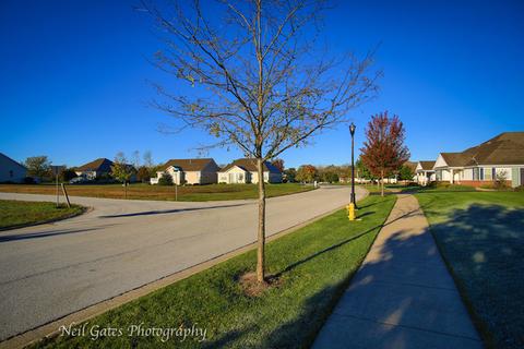 3811 Traditions Dr, Olympia Fields, IL 60461 photo 31