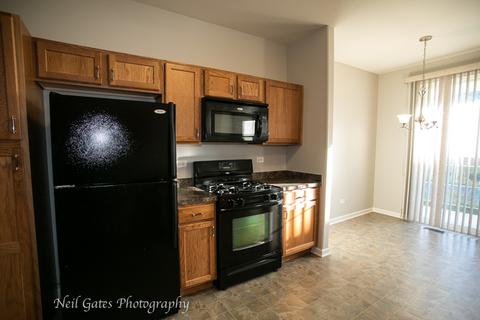 3811 Traditions Dr, Olympia Fields, IL 60461 photo 19