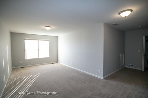 3811 Traditions Dr, Olympia Fields, IL 60461 photo 23