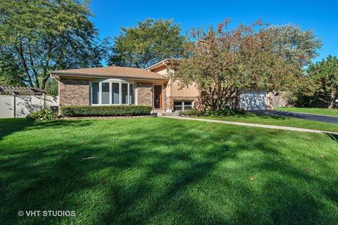 26 Inner Circle Dr, Des Plaines, IL 60016 photo 1