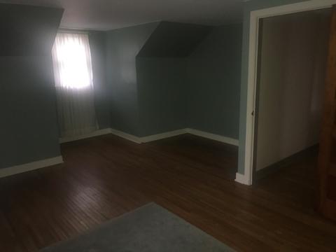 309 N Maple St, Elliott, IL 60933 photo 13