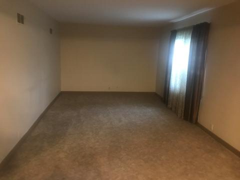 309 N Maple St, Elliott, IL 60933 photo 4