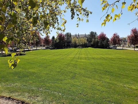 472 Broadmoor Ln, Bartlett, IL 60103 photo 19