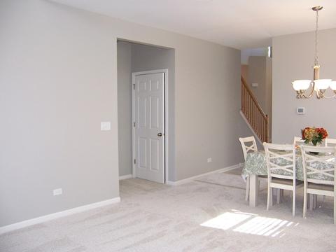 25402 Cove Ct, Plainfield, IL 60544 photo 22
