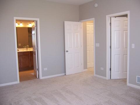 25402 Cove Ct, Plainfield, IL 60544 photo 24