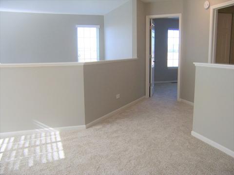 25402 Cove Ct, Plainfield, IL 60544 photo 32