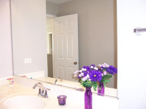 25402 Cove Ct, Plainfield, IL 60544 photo 41