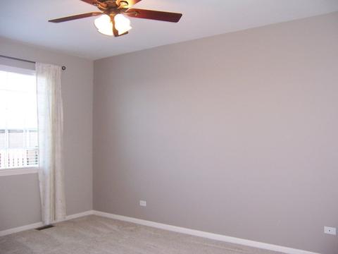 25402 Cove Ct, Plainfield, IL 60544 photo 23