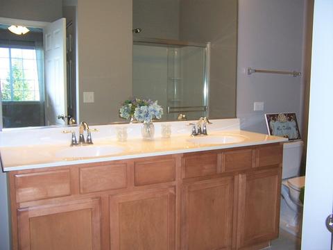25402 Cove Ct, Plainfield, IL 60544 photo 25