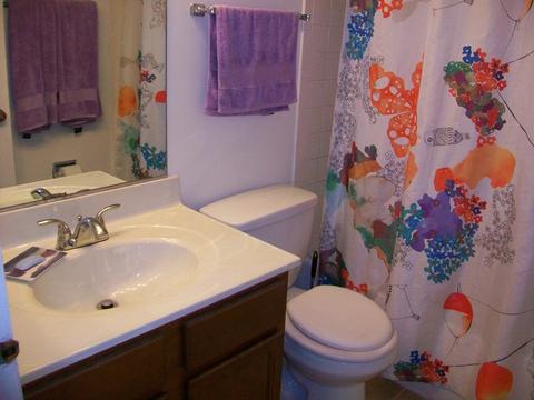 2514 Yarrow Ln, Rolling Meadows, IL 60008 photo 28