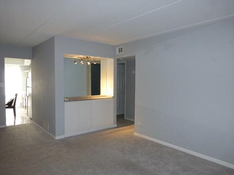 5402 Chateau #2, Rolling Meadows, IL 60008 photo 4