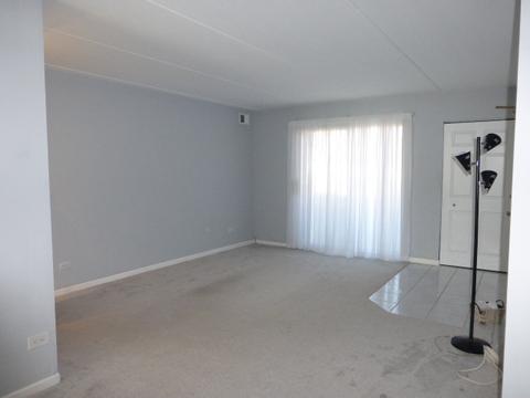 5402 Chateau #2, Rolling Meadows, IL 60008 photo 3