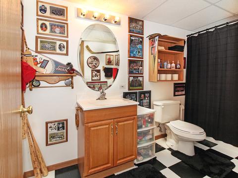 2903 Frank Turk Dr, Plainfield, IL 60586 photo 21