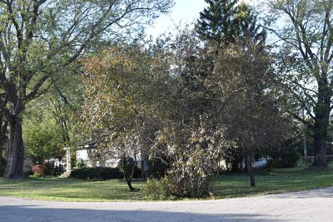 4300 W Shore Dr, Mchenry, IL 60050 photo 19