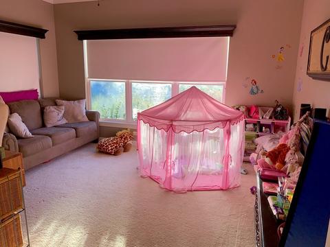 13255 Skyline Dr, Plainfield, IL 60585 photo 9