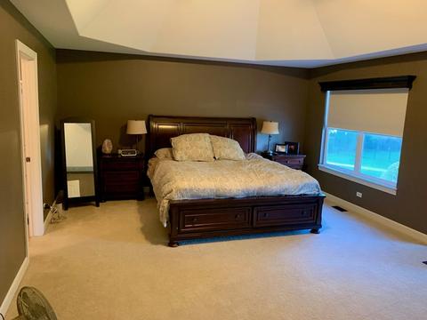 13255 Skyline Dr, Plainfield, IL 60585 photo 11