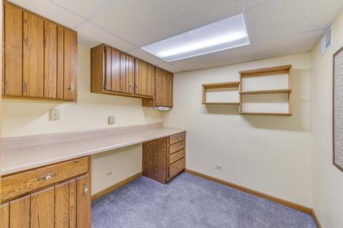 713 Cassin Rd, Naperville, IL 60565 photo 33
