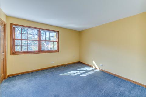 713 Cassin Rd, Naperville, IL 60565 photo 30