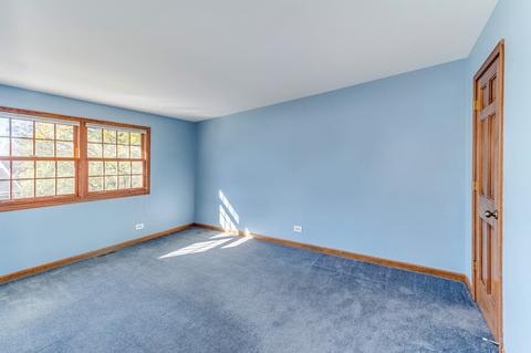 713 Cassin Rd, Naperville, IL 60565 photo 27