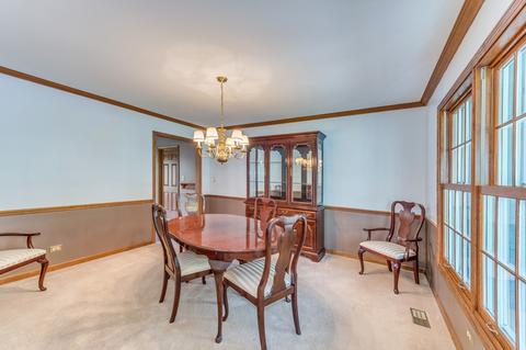 713 Cassin Rd, Naperville, IL 60565 photo 11