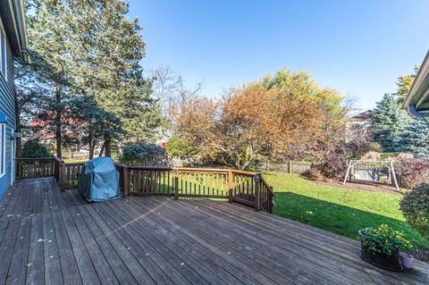 713 Cassin Rd, Naperville, IL 60565 photo 35