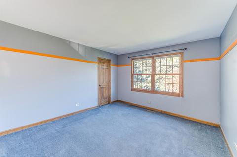 713 Cassin Rd, Naperville, IL 60565 photo 29