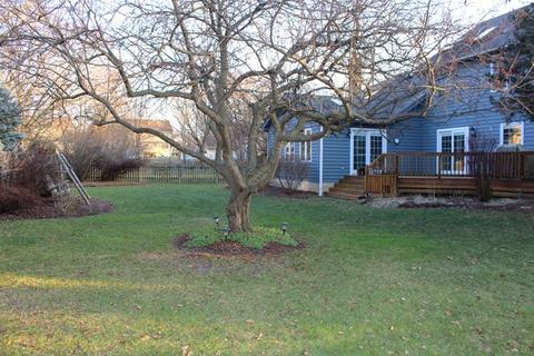 713 Cassin Rd, Naperville, IL 60565 photo 39