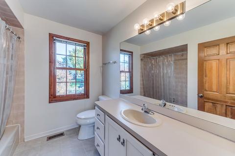 713 Cassin Rd, Naperville, IL 60565 photo 28