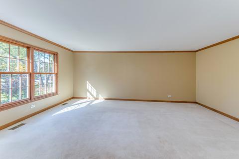713 Cassin Rd, Naperville, IL 60565 photo 14