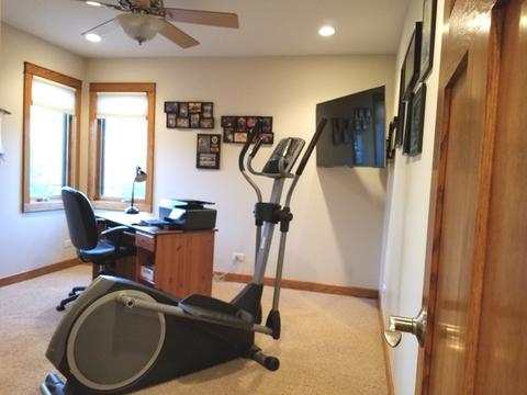 529 Spring St, Roselle, IL 60172 photo 14