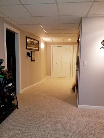 529 Spring St, Roselle, IL 60172 photo 27