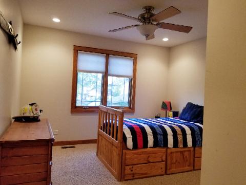 529 Spring St, Roselle, IL 60172 photo 16