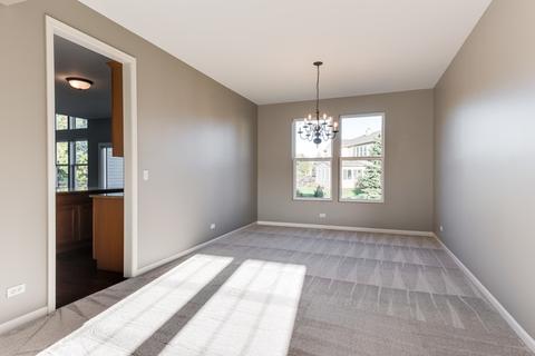 24820 N Blue Iris Ct, Plainfield, IL 60585 photo 15