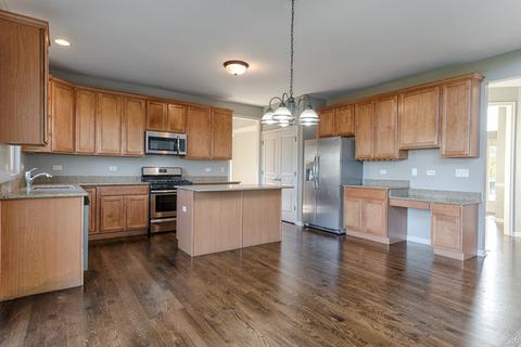 24820 N Blue Iris Ct, Plainfield, IL 60585 photo 21