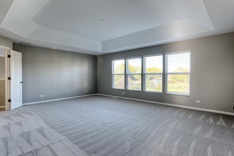 24820 N Blue Iris Ct, Plainfield, IL 60585 photo 4