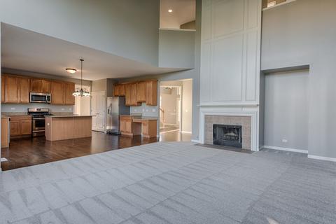 24820 N Blue Iris Ct, Plainfield, IL 60585 photo 26