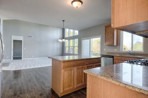 24820 N Blue Iris Ct, Plainfield, IL 60585 photo 18