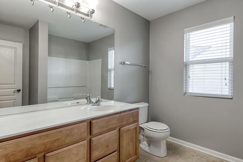24820 N Blue Iris Ct, Plainfield, IL 60585 photo 11