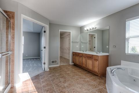 24820 N Blue Iris Ct, Plainfield, IL 60585 photo 6
