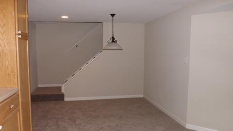 307 Meadowview Ln, Aurora, IL 60502 photo 20