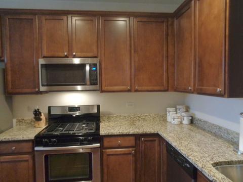 862 Voyage Way, Elgin, IL 60124 photo 5