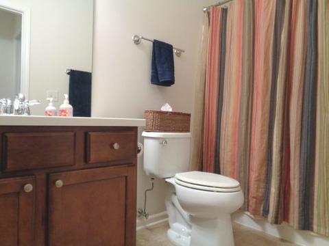 862 Voyage Way, Elgin, IL 60124 photo 14