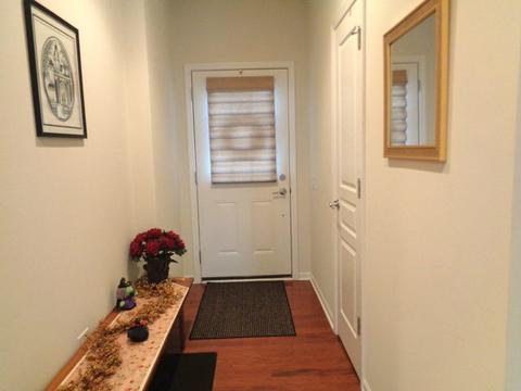 862 Voyage Way, Elgin, IL 60124 photo 3