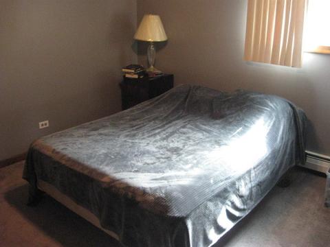 913 E Gladys Ave, Addison, IL 60101 photo 8
