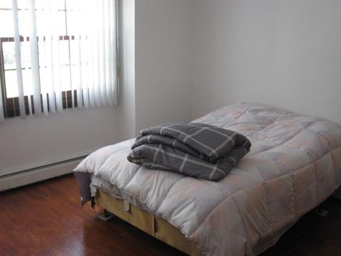 913 E Gladys Ave, Addison, IL 60101 photo 6
